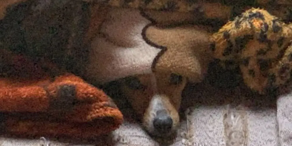 Imagem do grupo de WhatsApp £¥£AMIZADE DE VERDADE€££