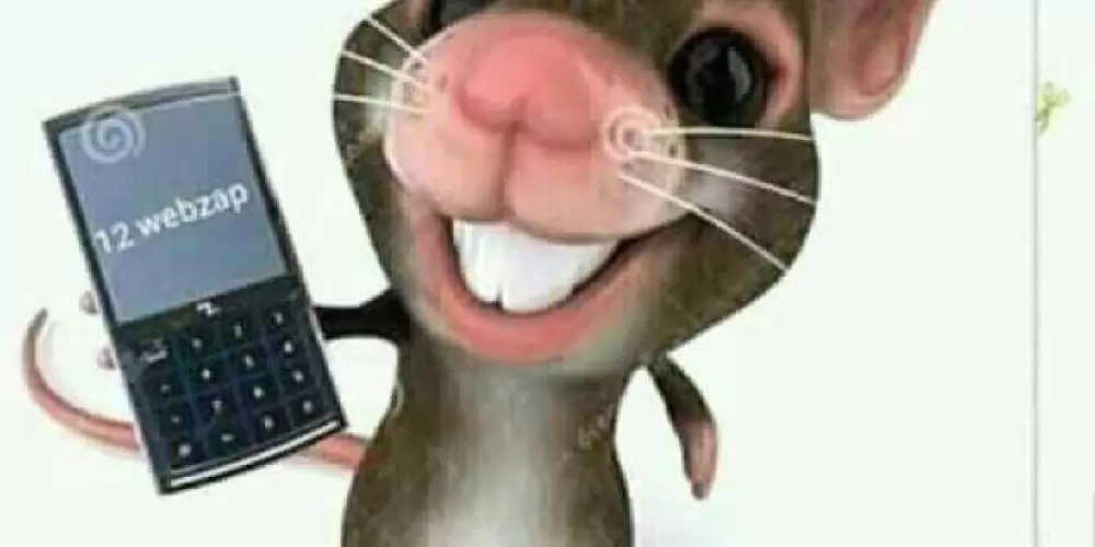 Imagem do grupo de WhatsApp PT BR