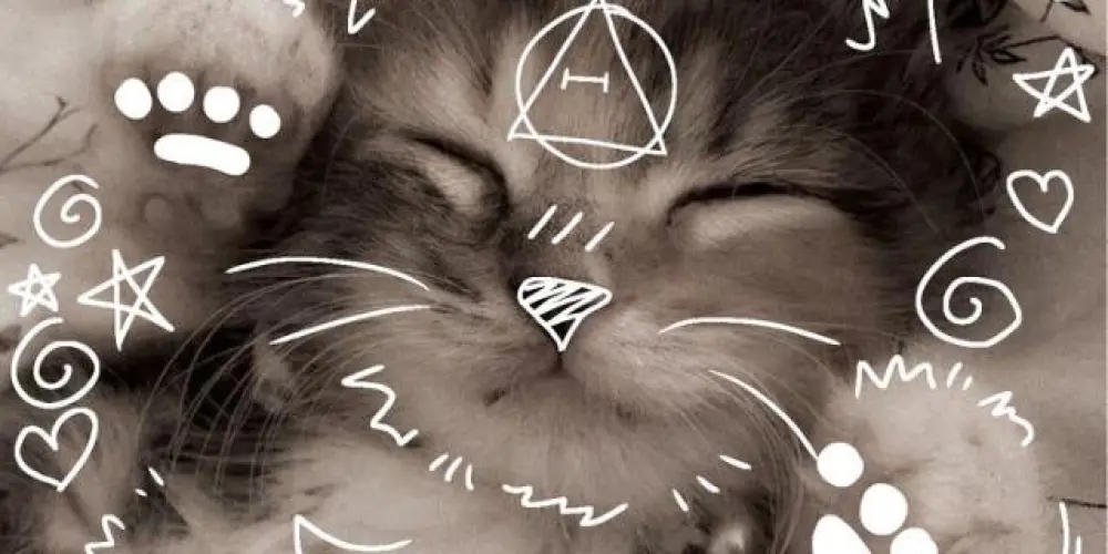 Imagem do grupo de WhatsApp 🪹Pᥲtᥲ᥉ ᥙrbᥲᥒᥲ᥉ SP⨺⃝🪶