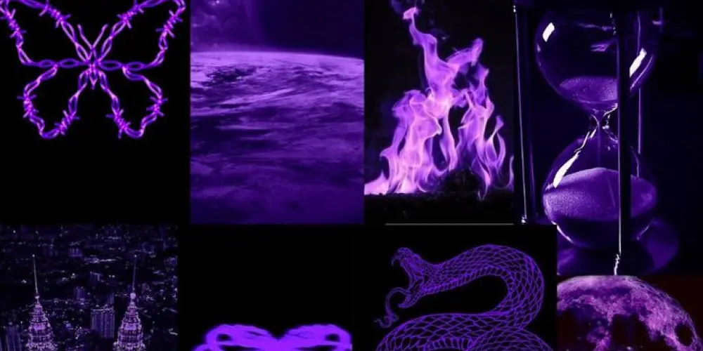 Imagem do grupo de WhatsApp 🌸🖤P.T.R.A ZONE🍷🌸