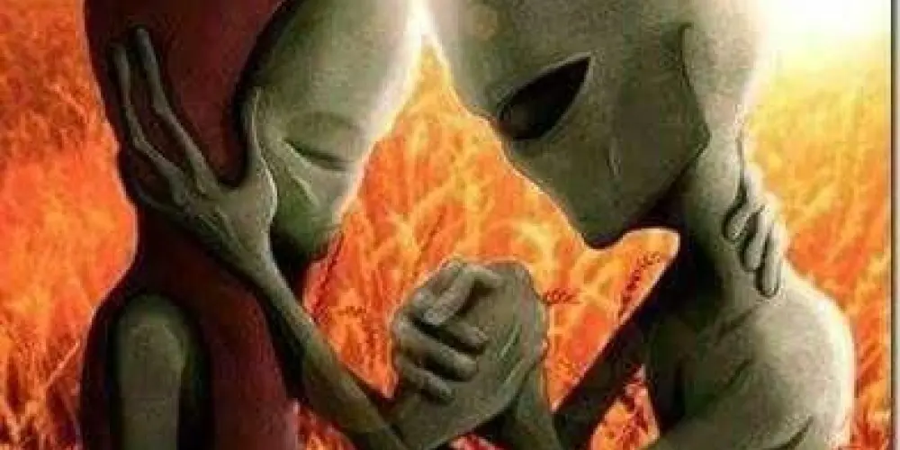 Imagem do grupo de WhatsApp Punpuns Moggados da Silva 🏴‍☠️👽