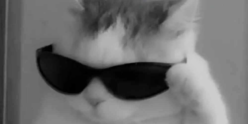 Imagem do grupo de WhatsApp Pura Zoiera