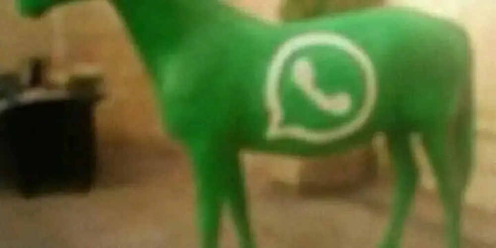 Imagem do grupo de WhatsApp PURGATÓRIO
