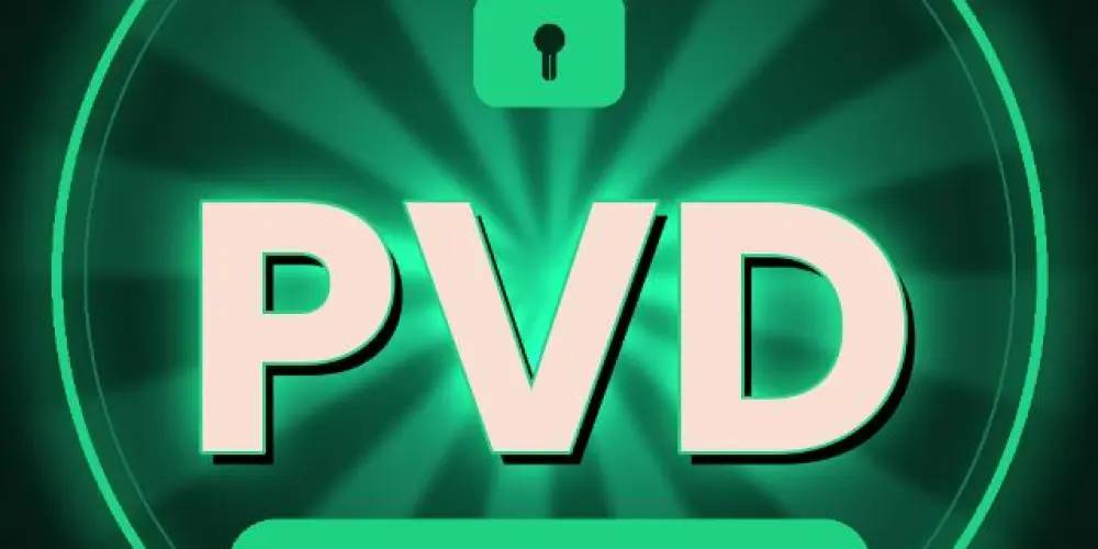 Imagem do grupo de WhatsApp PVD | Primeira Venda Destra-vada
