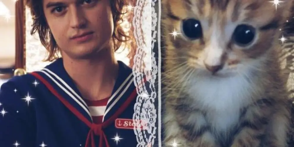 Imagem do grupo de WhatsApp 𓊝 ᮬ . 𝐈ܻՔ ֢  υׁׅ   𝐀ິꭈׁׅᧉ  . ᰍ  𝐋͡ິ𑄝͡ა͡t ິ  .ᐟ   ⚓️ ᩚᰰ  ۪