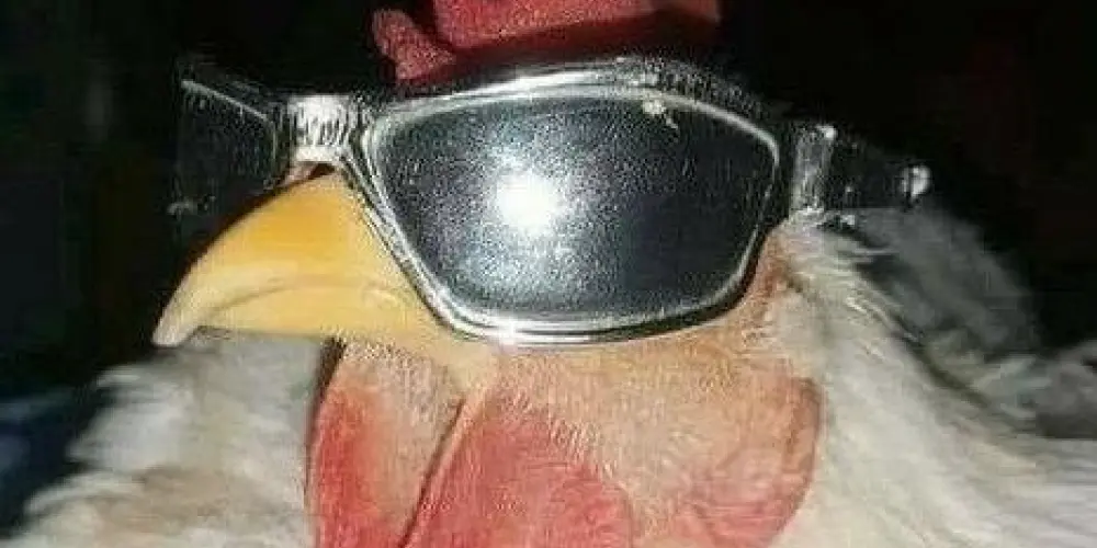 Imagem do grupo de WhatsApp 🔥QG Ｒｅｓｅｎｈａ🍃