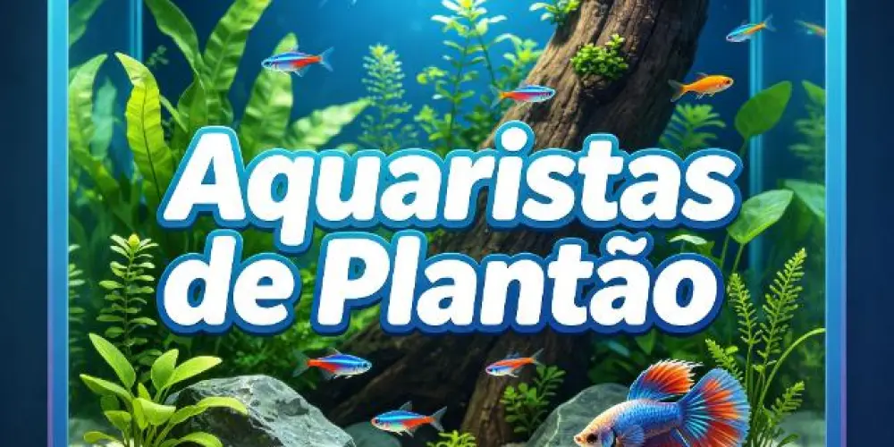 Imagem do grupo de WhatsApp ᗩQᑌᗩᖇISTᗩS ᗞᕮ ᑭᒪᗩᘉTᗩ̃O 🔍🐠