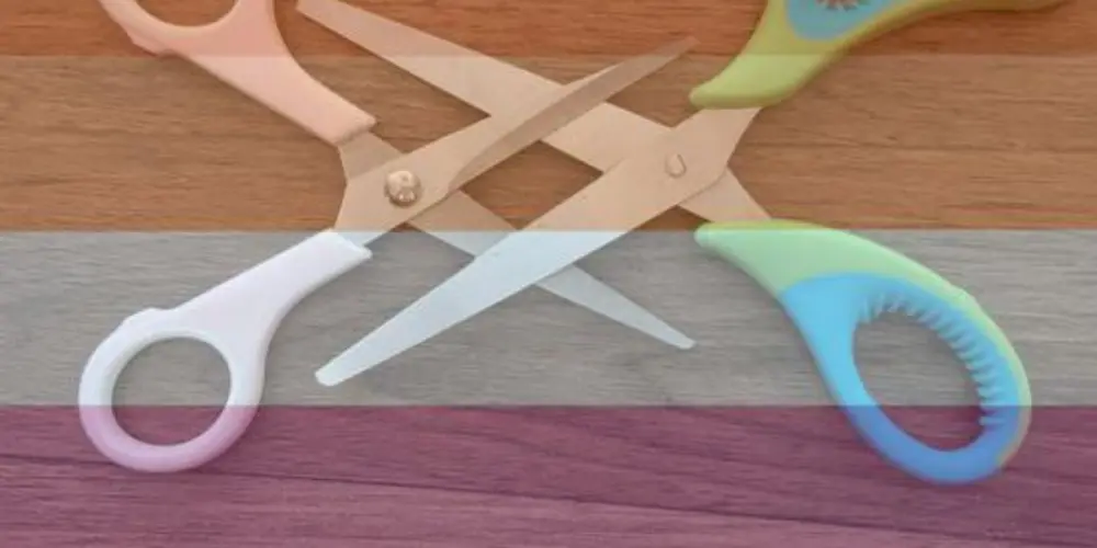 Imagem do grupo de WhatsApp Quadrilha das cola velcro