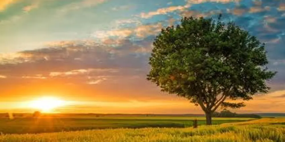 Imagem do grupo de WhatsApp Quem quiser