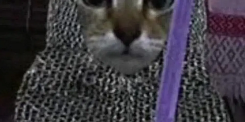 Imagem do grupo de WhatsApp 𝕬𝖗𝖒𝖆́𝖗𝖎𝖔 {Quem sair.. já sabe, né?🫦 💅🏼}