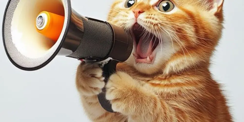 Imagem do grupo de WhatsApp Quero sticker… AGORA! 🗯️