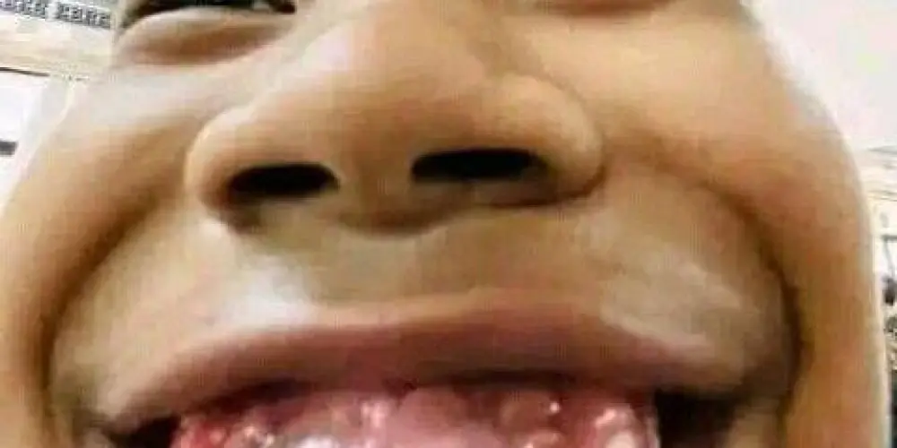 Imagem do grupo de WhatsApp Quintal Da Zueira