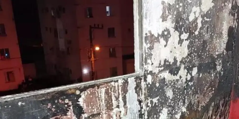 Imagem do grupo de WhatsApp quinteto juvenil do medo abundante