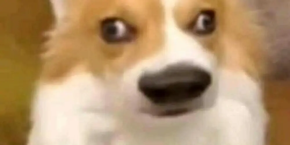 Imagem do grupo de WhatsApp Rᴇᴄᴇᴘᴄ̧ᴀ̃ᴏ The BL○○D