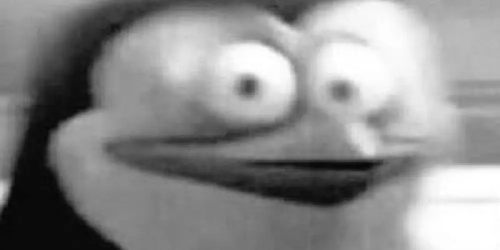 Imagem do grupo de WhatsApp Random Friends