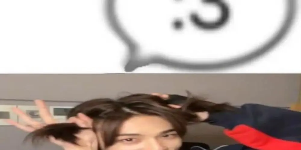 Imagem do grupo de WhatsApp Randomverse🍮