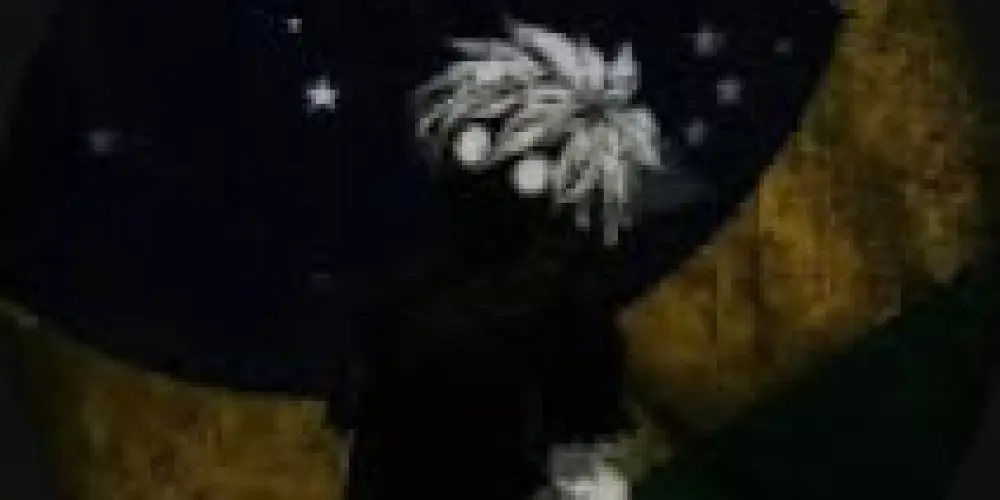 Imagem do grupo de WhatsApp Ranyxsy !!!