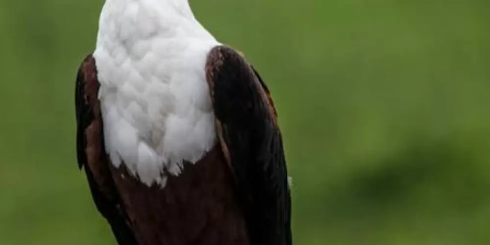 Imagem do grupo de WhatsApp RAPINA DE CASSINO💰🚀