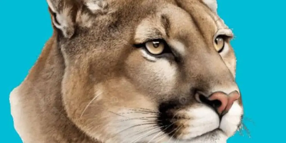 Imagem do grupo de WhatsApp RB ANIMAIS