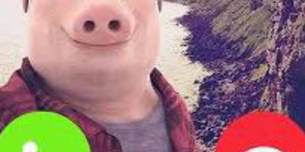 Imagem do grupo de WhatsApp Re del descanso