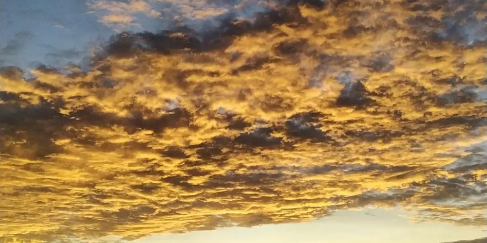 Imagem do grupo de WhatsApp Real...🌃