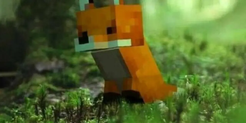 Imagem do grupo de WhatsApp REALMS DOS LOBOS🐺