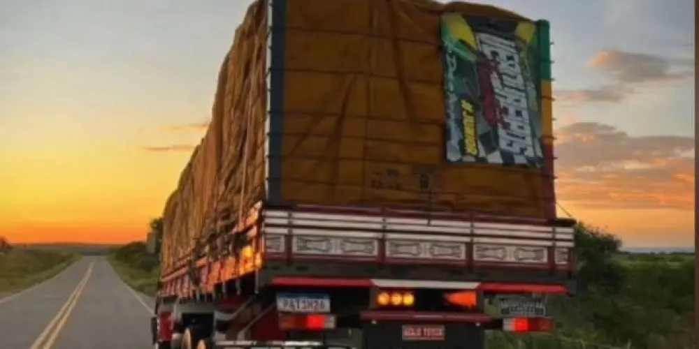 Imagem do grupo de WhatsApp Rebitados Nordeste!