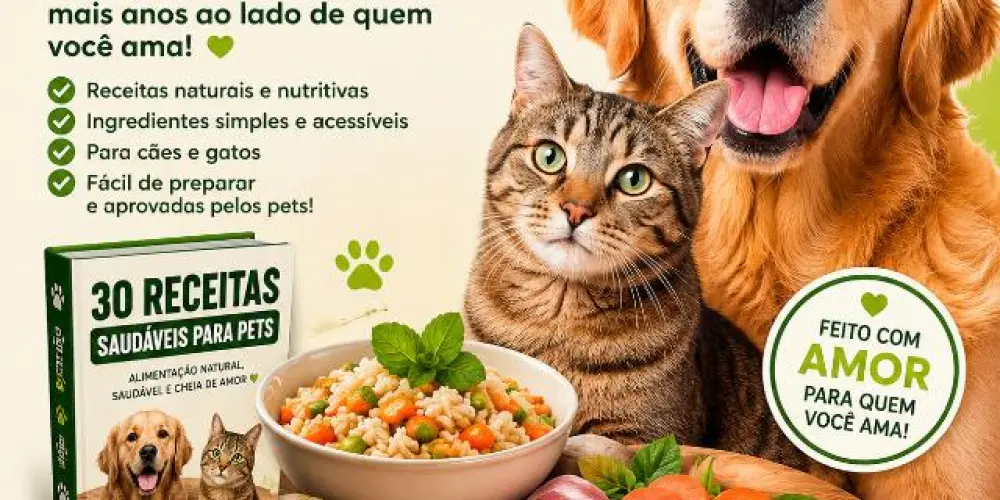 Imagem do grupo de WhatsApp Receitas Naturais