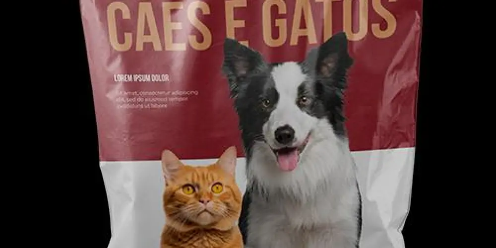 Imagem do grupo de WhatsApp Receitas saudáveis para seu pet