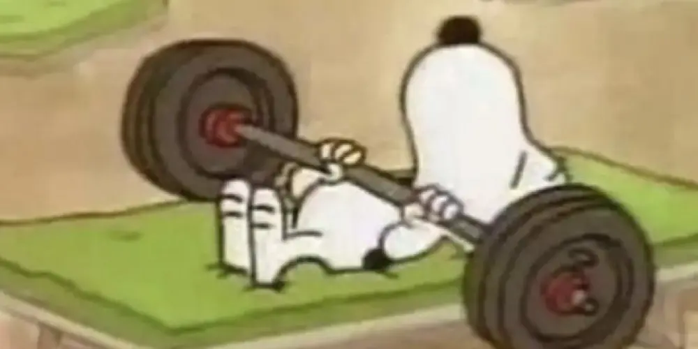 Imagem do grupo de WhatsApp Recepção 👍🏻