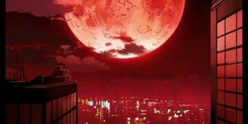 Imagem do grupo de WhatsApp Recepção