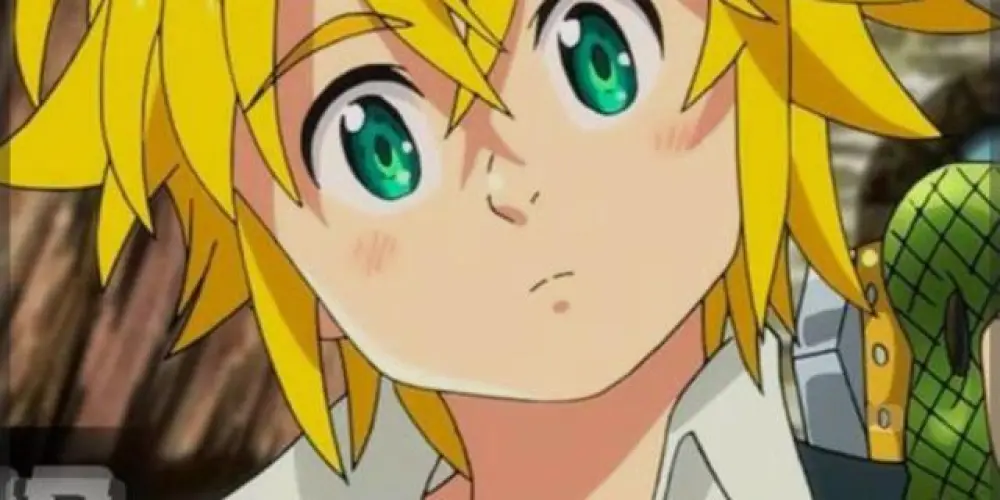 Imagem do grupo de WhatsApp Recepção