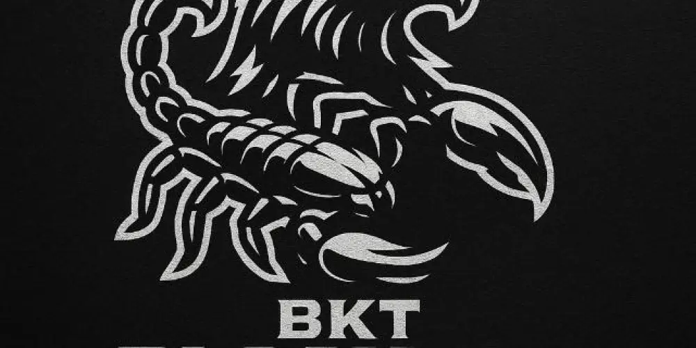 Imagem do grupo de WhatsApp RECRUTAMENTO BLACKout