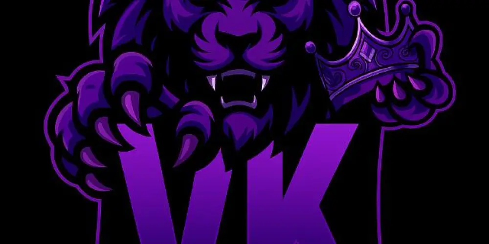 Imagem do grupo de WhatsApp RECRUTAMENTO DA VK E-SPORTS