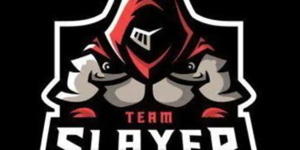 Imagem do grupo de WhatsApp RECRUTAMENTO GUILDA THE SLAYERS