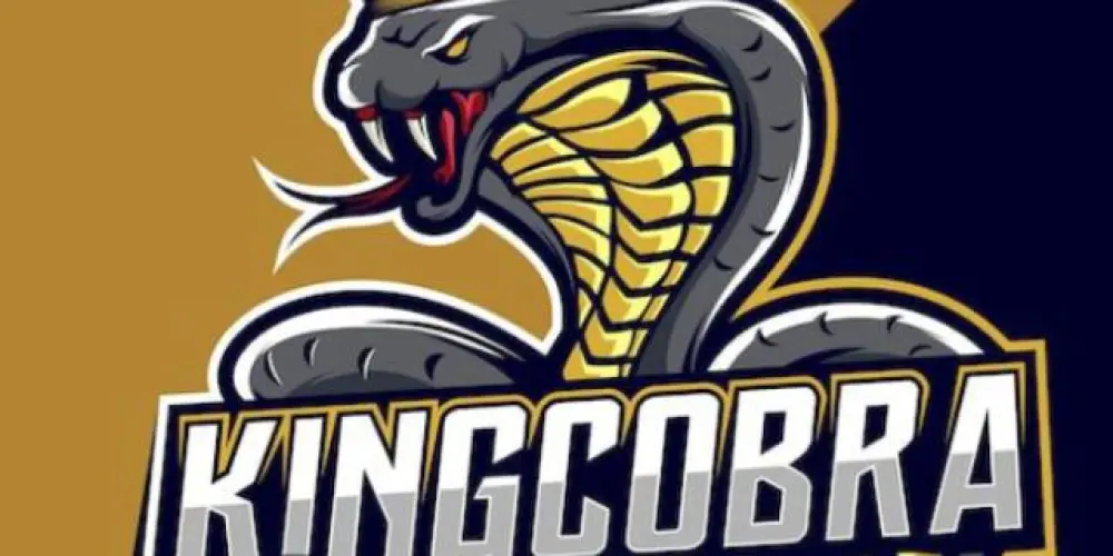 Imagem do grupo de WhatsApp !RECRUTAMENTO! KING-COBRA SPT