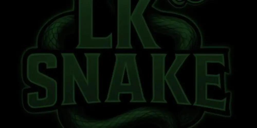 Imagem do grupo de WhatsApp RECRUTAMENTO LK SPORTES SE