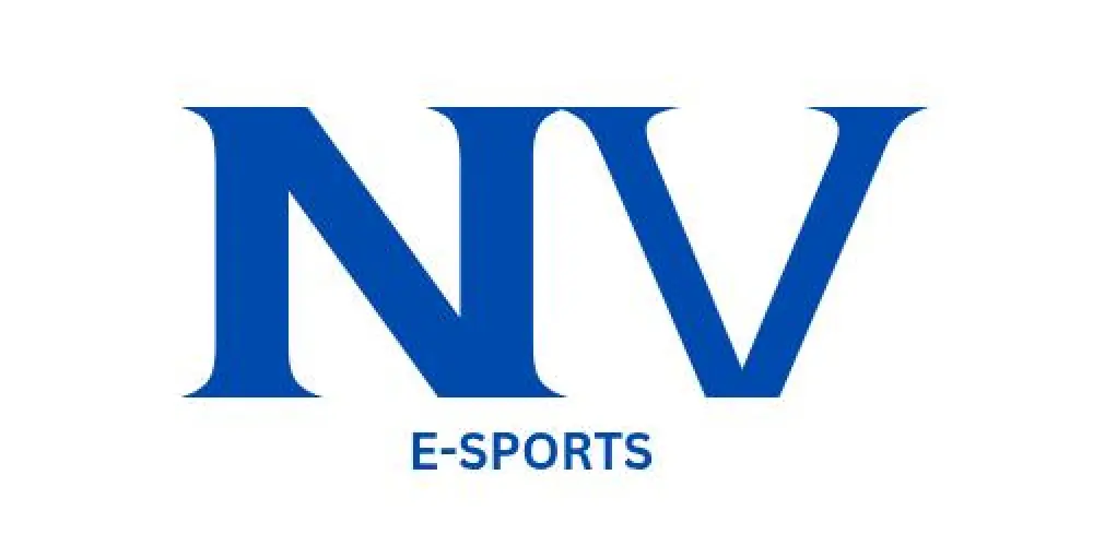 Imagem do grupo de WhatsApp Recrutamento NV E-SPORTS