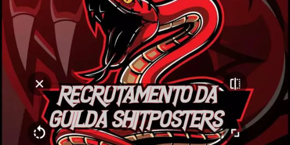 Imagem do grupo de WhatsApp 🚨Recrutamento para a guilda shitposters 🚨