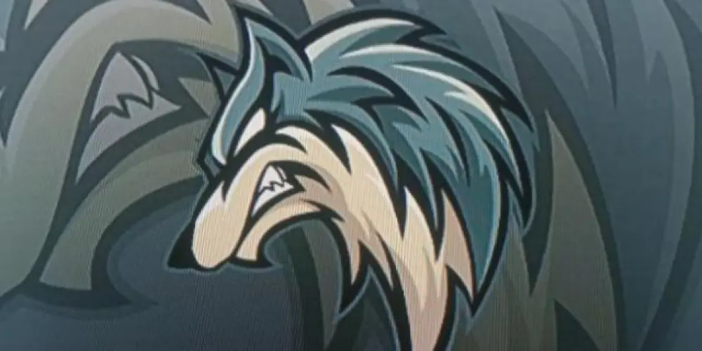 Imagem do grupo de WhatsApp RECRUTAMENTO PHILIPS# 🩶🤍🩶🤍