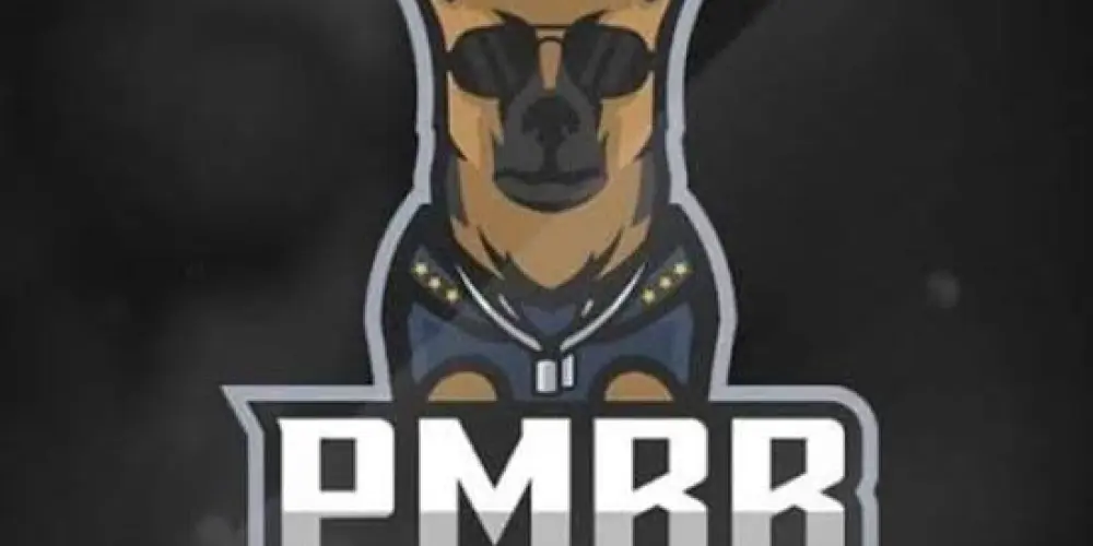 Imagem do grupo de WhatsApp RECRUTAMENTO PM BR GIRL