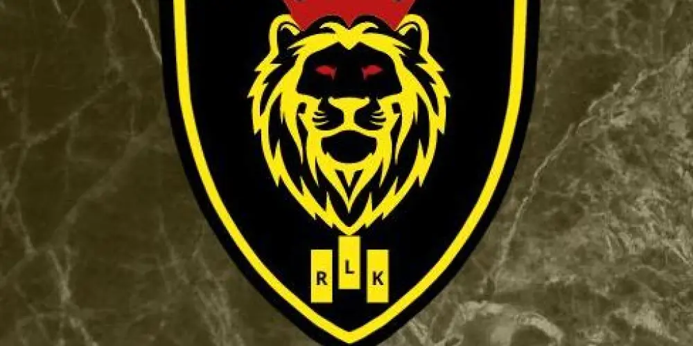 Imagem do grupo de WhatsApp RECRUTAMENTO RICOS LK