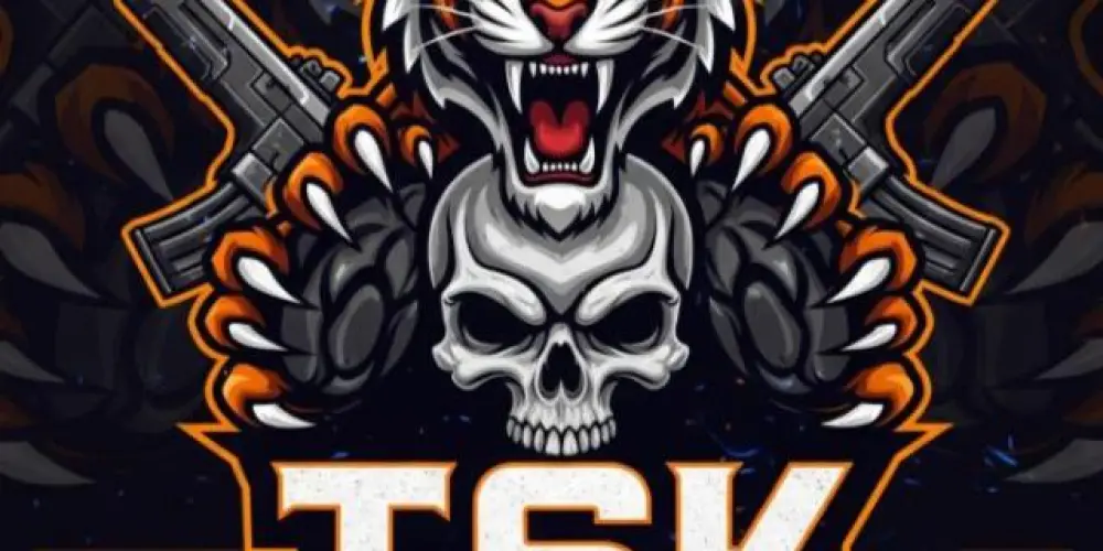 Imagem do grupo de WhatsApp Recrutamento Tsk Team