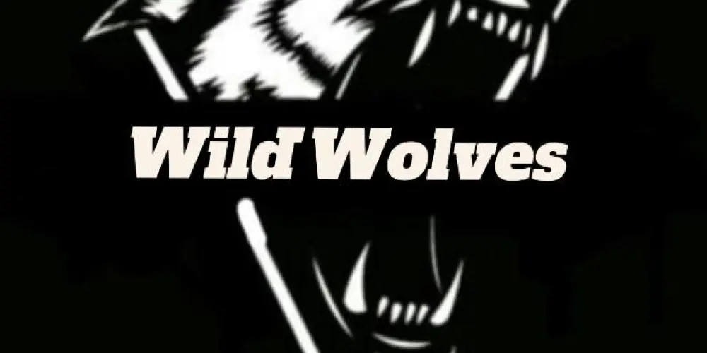 Imagem do grupo de WhatsApp Recrutamento Wild'Wolves 👑