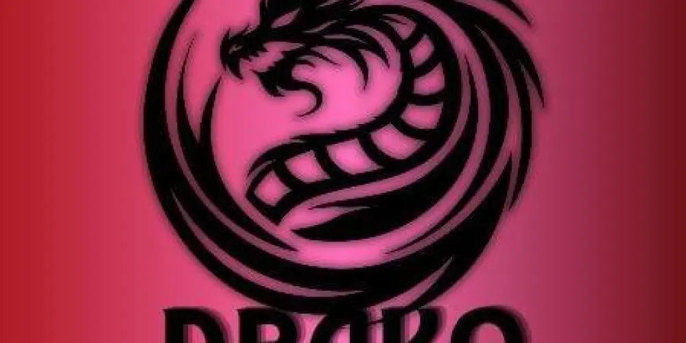 Imagem do grupo de WhatsApp RECRUTANDO DRAKO