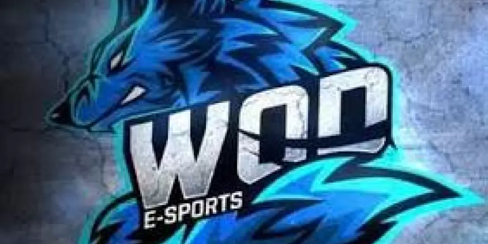 Imagem do grupo de WhatsApp recrutando ⚡️WOD E-SPORTS⚡️ff