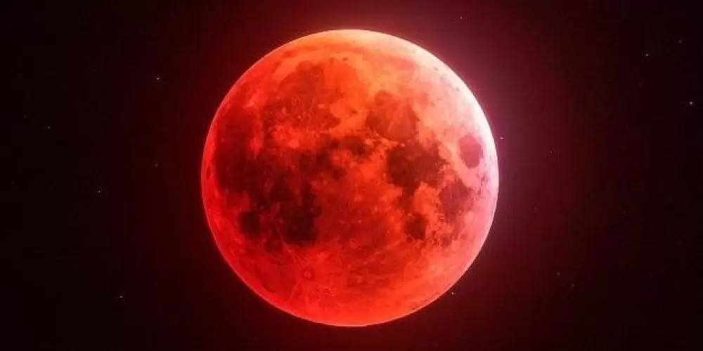 Imagem do grupo de WhatsApp 🩸Red Moon 🌑