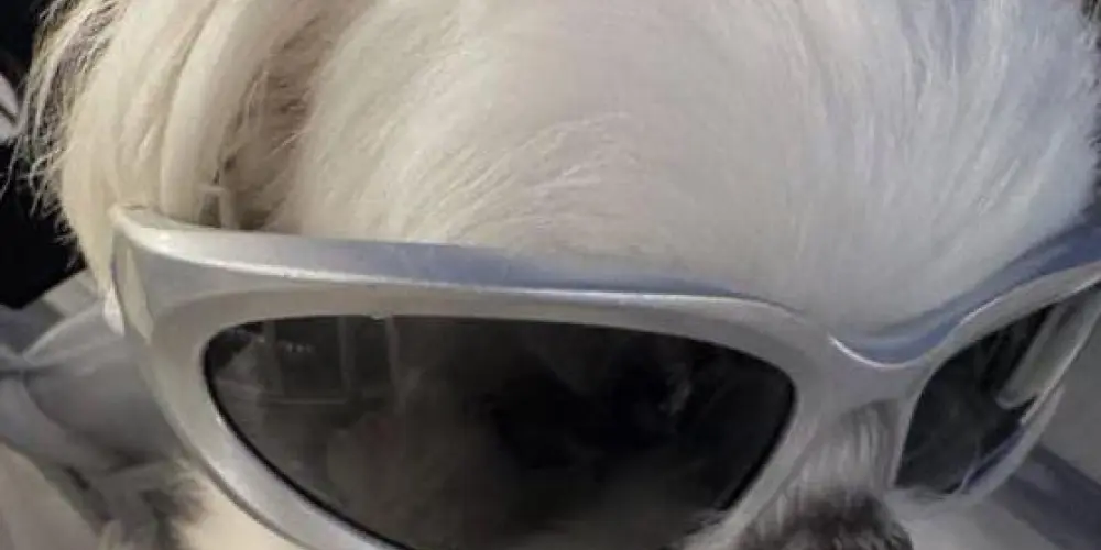 Imagem do grupo de WhatsApp 🎀~Redx dark~🎀