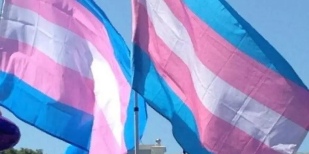 Imagem do grupo de WhatsApp Refúgio T 🏳️‍⚧️