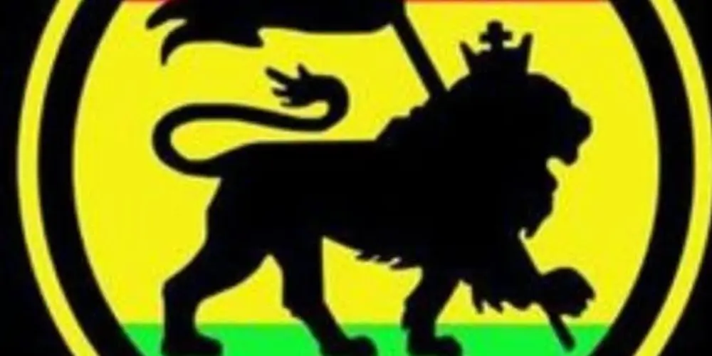 Imagem do grupo de WhatsApp REGGAE DO BRASIL